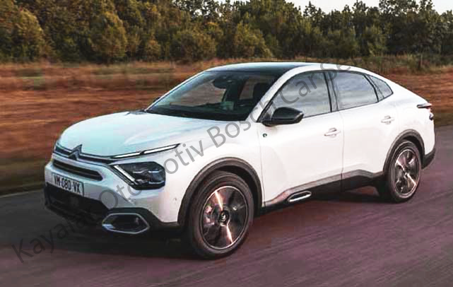 İleri Teknoloji Kocaeli Citroen Servisi