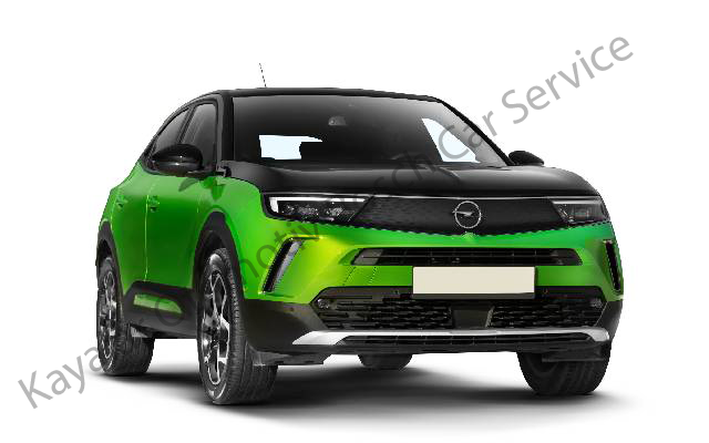 Kocaeli Opel Servisi